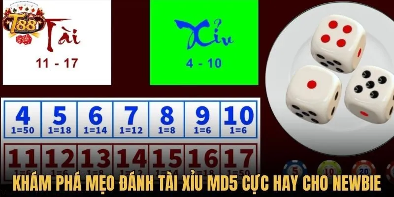 Khám phá mẹo đánh tài xỉu MD5 cực hay cho newbie